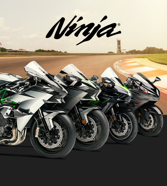 Ninja FAMILY: Ninja IMAGE