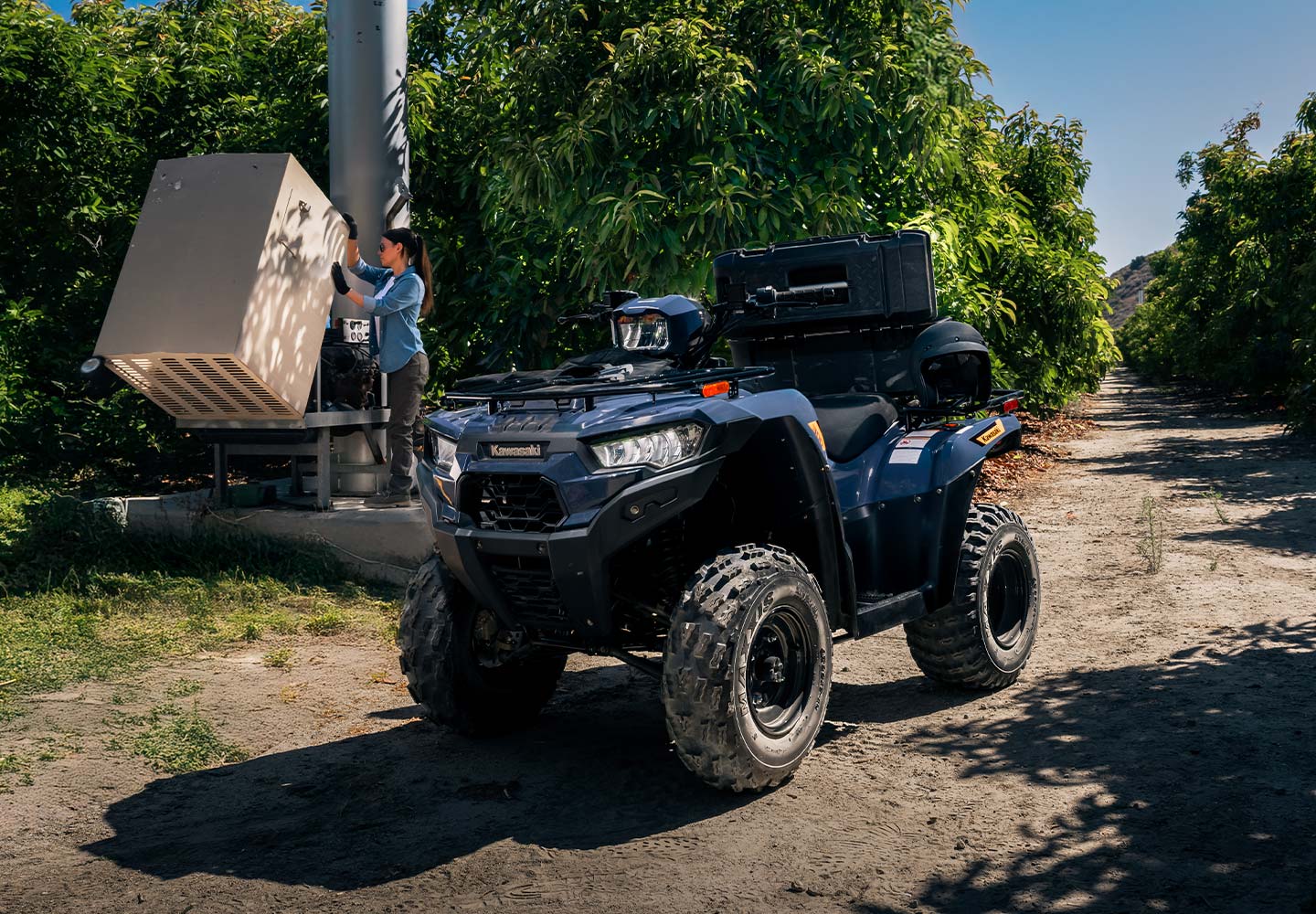 KAWASAKI TERYX: TERYX LE